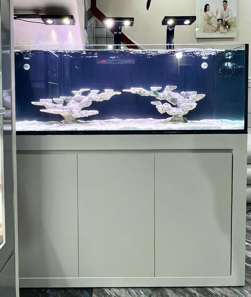 Combo hồ 150 x 60 x 50-duoc-ban-tai-Yuna Fish(Gò Vấp)
