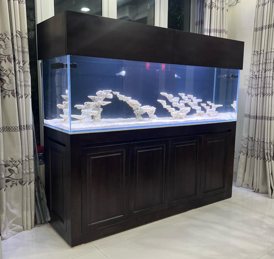 Hồ 200 x 60 x 60 Vip-duoc-ban-tai-Yuna Fish(Gò Vấp)