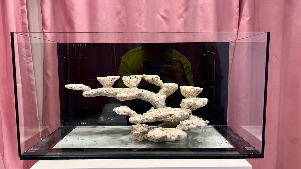 Hồ lọc vách(kt 60x40x30)-duoc-ban-tai-Yuna Fish(Gò Vấp)