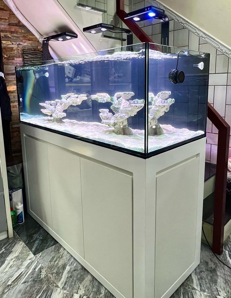 Combo hồ 150 x 60 x 50-duoc-ban-tai-Yuna Fish(Gò Vấp)