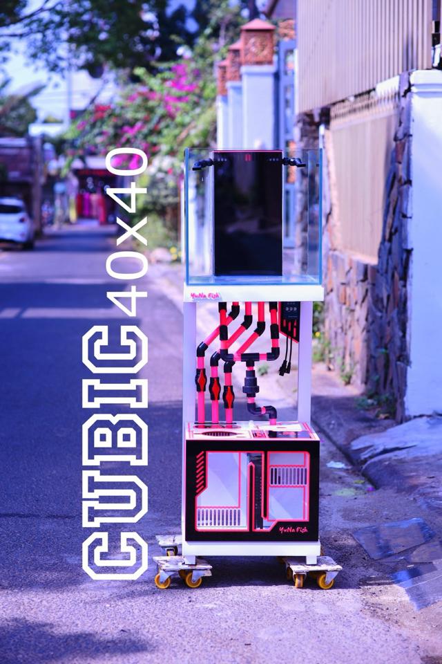 Combo hồ cubic 40 sump + bơm-duoc-ban-tai-Yuna Fish(Gò Vấp)