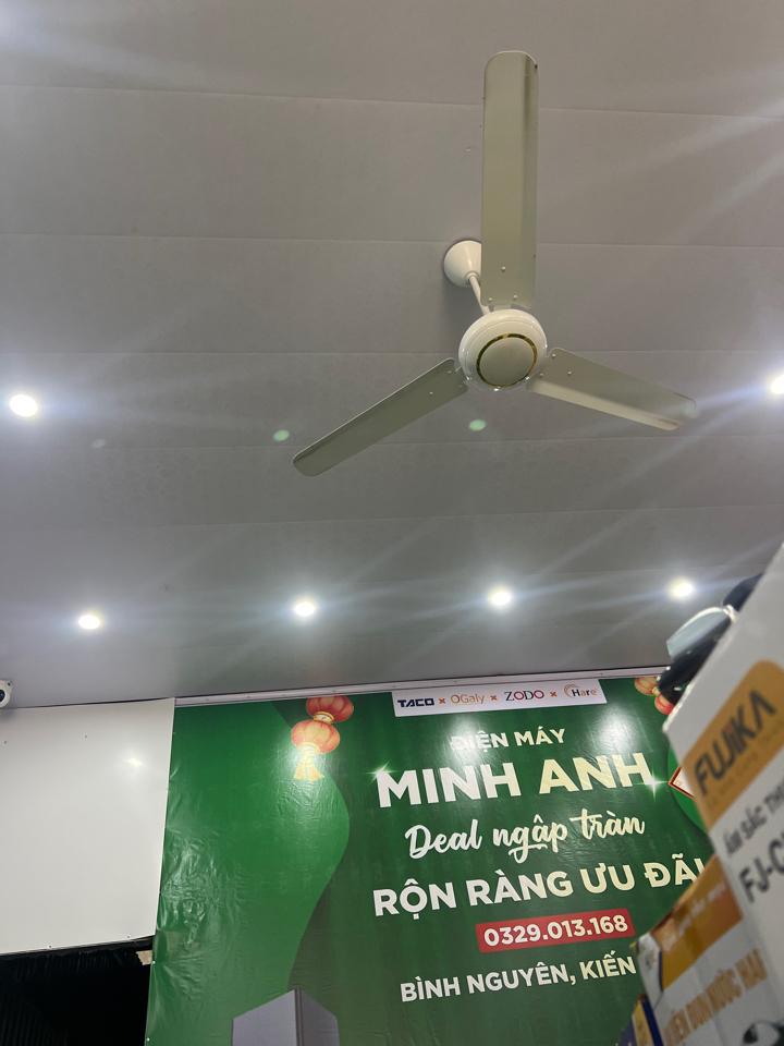 Quạt trân 301-duoc-ban-tai-Điện máy Minh Anh
