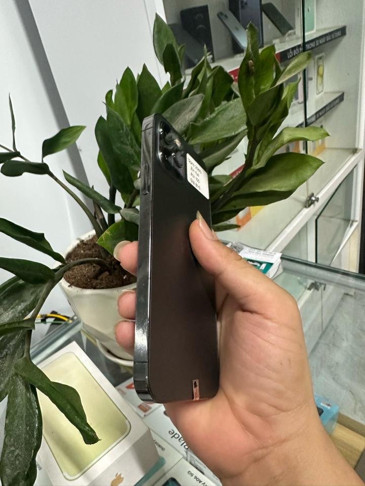 12pro 256G-duoc-ban-tai-Hoàng Đức Mobile