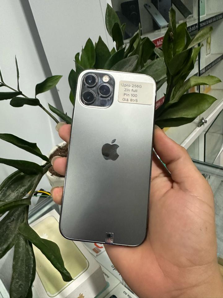 12pro 256G-duoc-ban-tai-Hoàng Đức Mobile