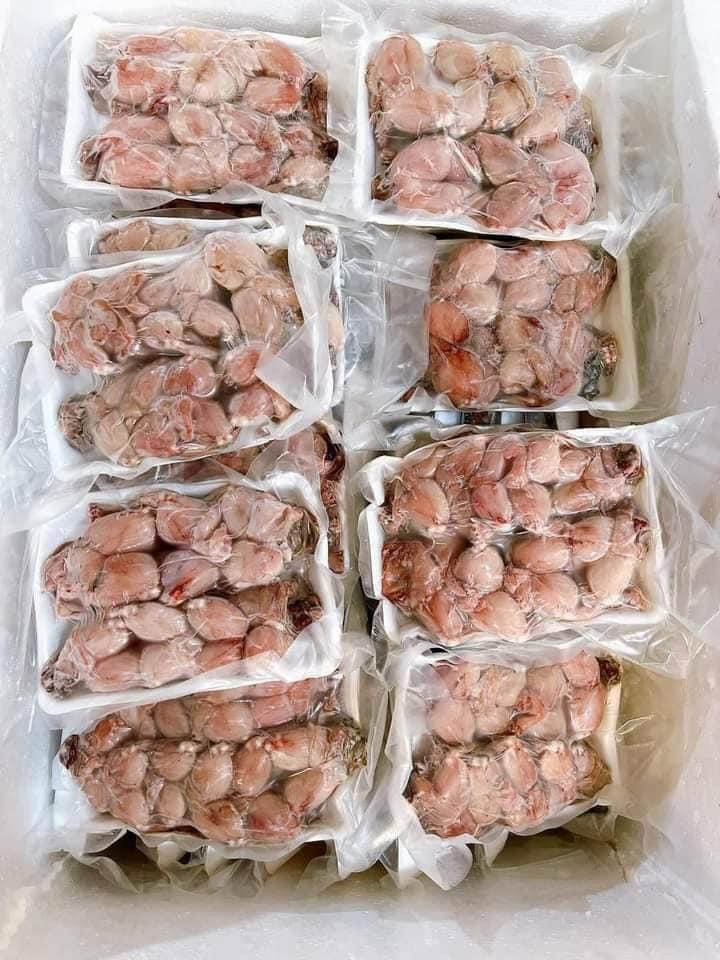 Đùi ếch-duoc-ban-tai-Kho sỉ ăn vặt đông lạnh trái cây TUYẾT SƯƠNG