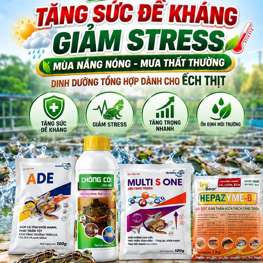 TMC - Chống còi (ếch)-duoc-ban-tai-Thú y Thủy Vân - CH Nguyễn Đáng