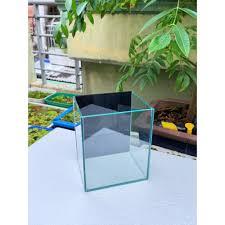 Keo (hồ) betta 4ly-duoc-ban-tai-Cửa hàng cá cảnh