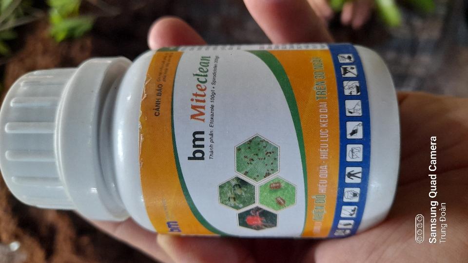 Thuốc trừ sâu bm MiteClean ( Etoxazole 100gl + Spirodiclofen 300g/l )-duoc-ban-tai-3 Cùng : Học - Làm - Phát triển