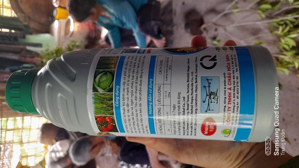 Thuốc trừ bệnh THÁN THƯ Macozeb Forthane 43SC-duoc-ban-tai-3 Cùng : Học - Làm - Phát triển