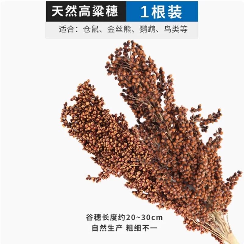 Túi 2 Cây Bobo Cao Lương Đỏ Dài 20-30cm Bucatstate-duoc-ban-tai-Nhian Pet Shop