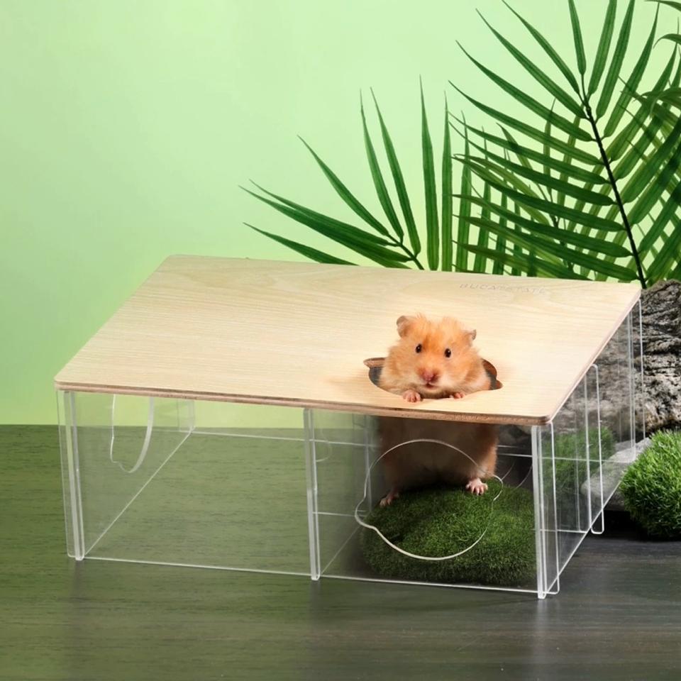 Hầm Trú Ẩn Mica Gỗ 3 ngăn Bucatstate-duoc-ban-tai-Nhian Pet Shop