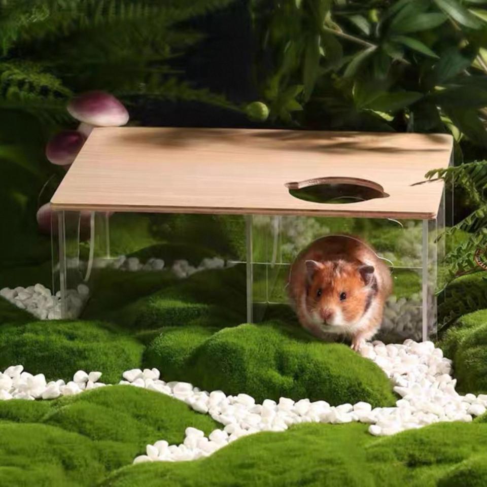 Hầm Trú Ẩn Mica Gỗ 3 ngăn Bucatstate-duoc-ban-tai-Nhian Pet Shop