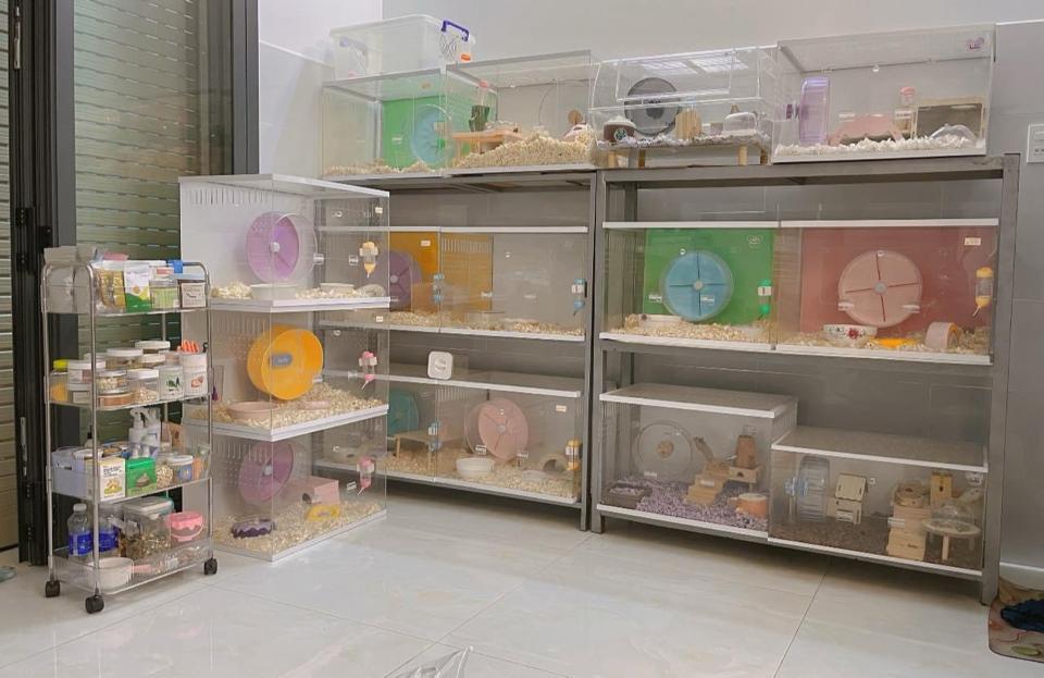 Lồng Mica 80.40.40  3Li-duoc-ban-tai-Nhian Pet Shop