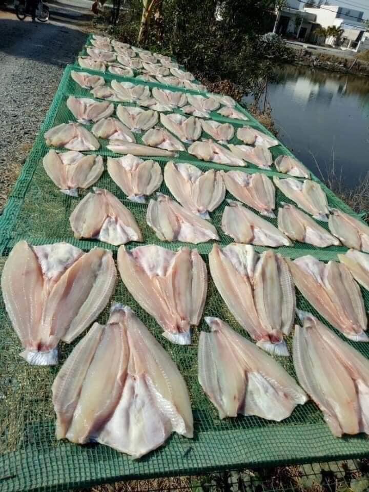 Cá dứa 3 nắng-duoc-ban-tai-Lâm hiên đức