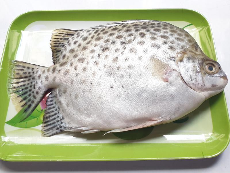 Cá nâu tươi-duoc-ban-tai-Lâm hiên đức