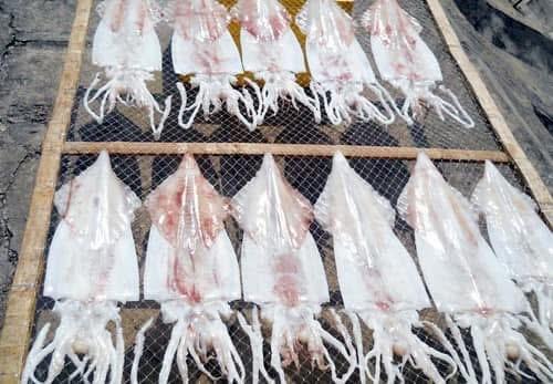 Mực 1 nắng -duoc-ban-tai-Lâm hiên đức