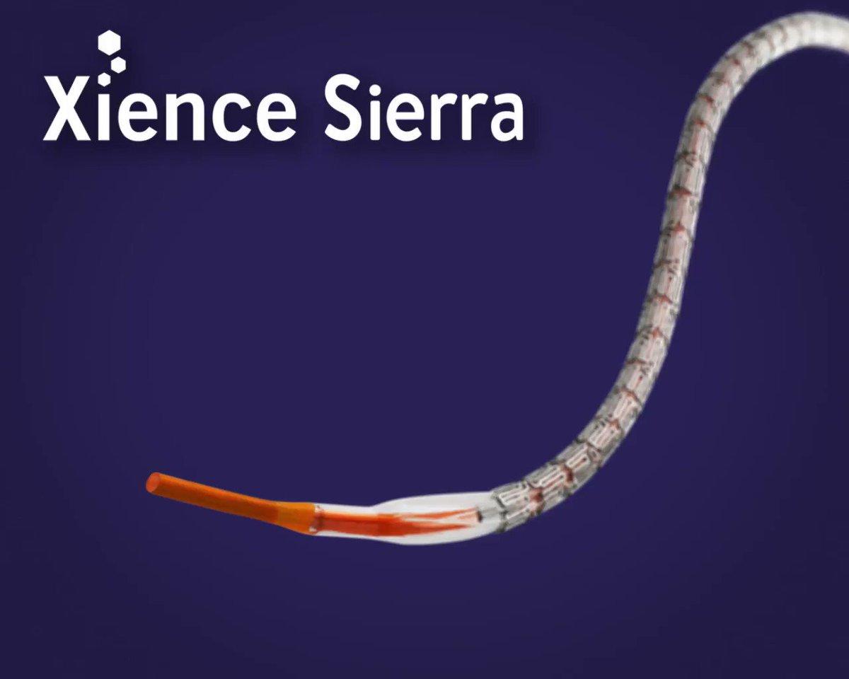 Giá đỡ mạch vành Xience Sierra-duoc-ban-tai-Đơn vị Can thiệp Tim mạch - Khoa Tim mạch - Bệnh viện đa khoa Thiện Hạnh