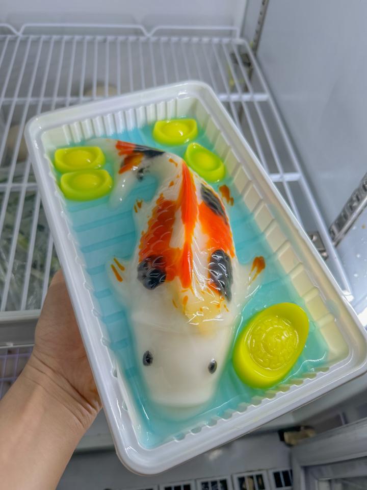 RC cá chép-duoc-ban-tai-Rau câu trái dừa Cherry