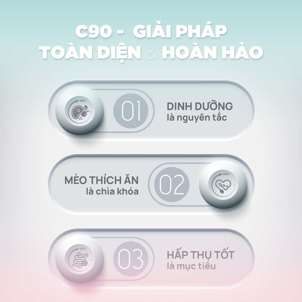 SKU 2 : HẠT PETQ C90K ( MÈO CON )-duoc-ban-tai-CLOUDY PET SHOP