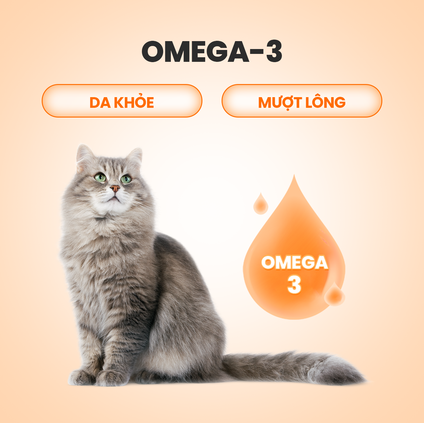 SKU 1 : HẠT Cat’s On Mix T - Hạt dinh dưỡng cho mèo phủ ruốc có thêm topping gà sấy-duoc-ban-tai-CLOUDY PET SHOP