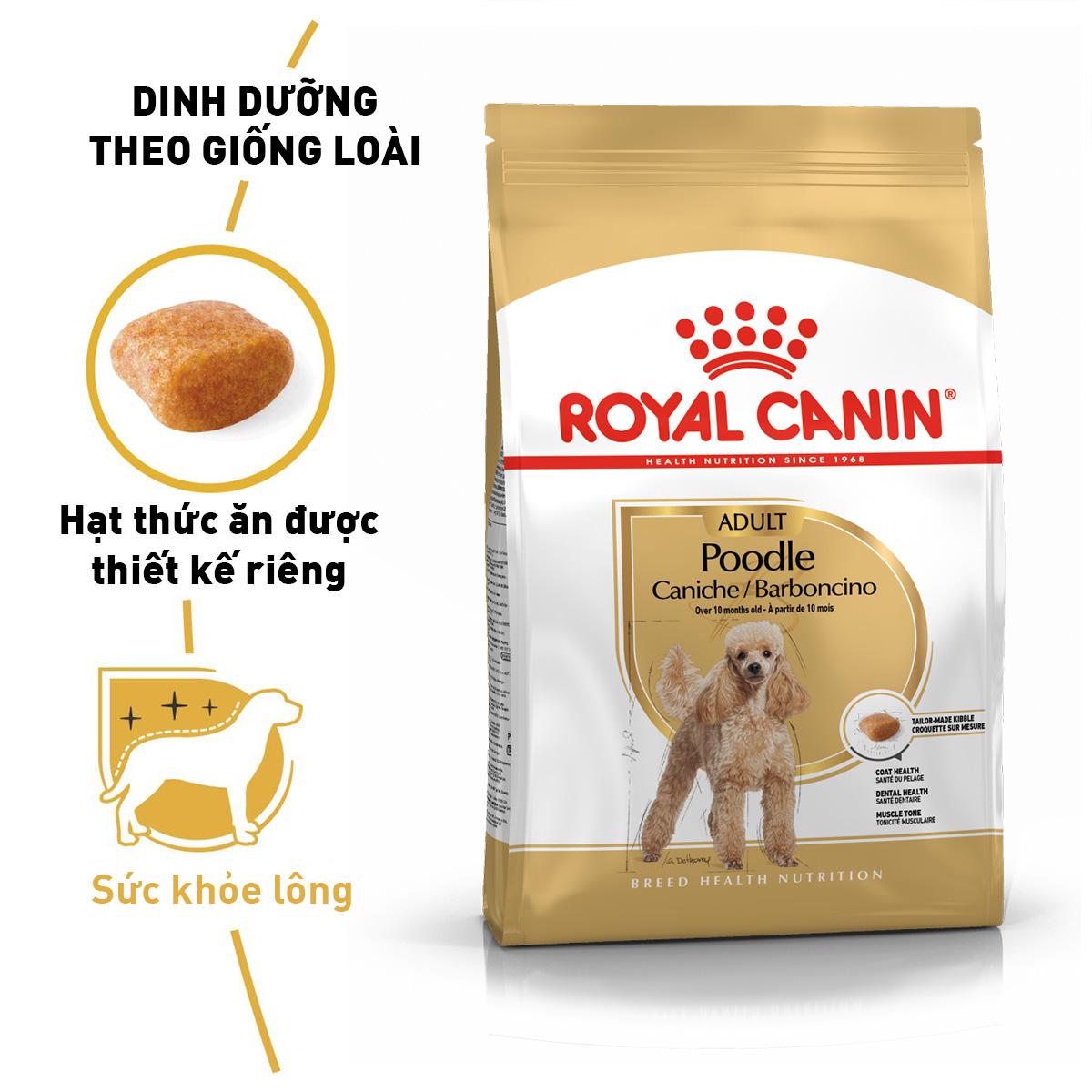 SKU 3Y : ROYAL CANIN POODLE PUPPY JUNIOR/ADULT-duoc-ban-tai-CLOUDY PET SHOP