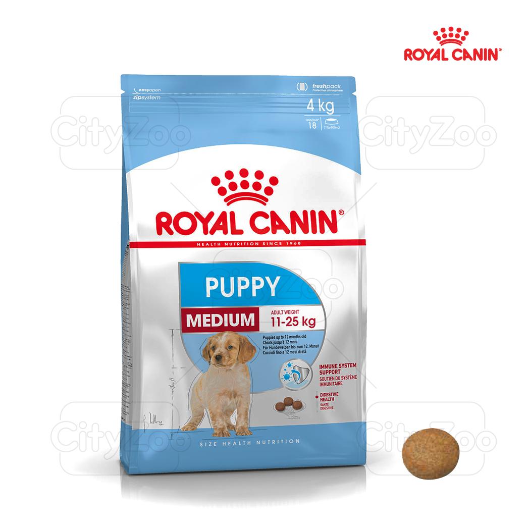 SKU 3Y : ROYAL CANIN MEDIUM KITTEN/ADULT-duoc-ban-tai-CLOUDY PET SHOP