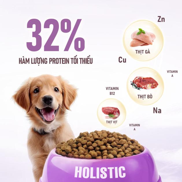 SKU 4 : HẠT ANF HOLISTIC - THỨC ĂN CHUẨN ÂU DÀNH CHO CHÓ ANF HOLISTIC-duoc-ban-tai-CLOUDY PET SHOP