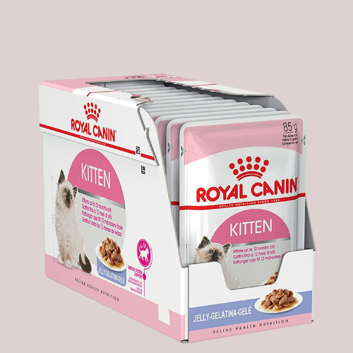 Pate Royal Canin Kitten 85g-duoc-ban-tai-CLOUDY PET SHOP