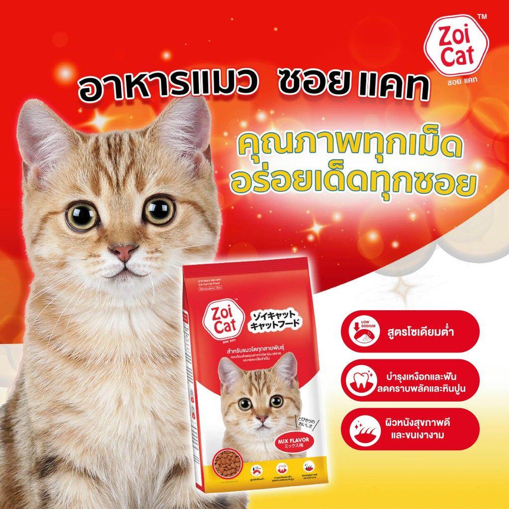 Hạt ZoiCat 1kg nguyên seal ( Thái Lan )-duoc-ban-tai-CLOUDY PET SHOP
