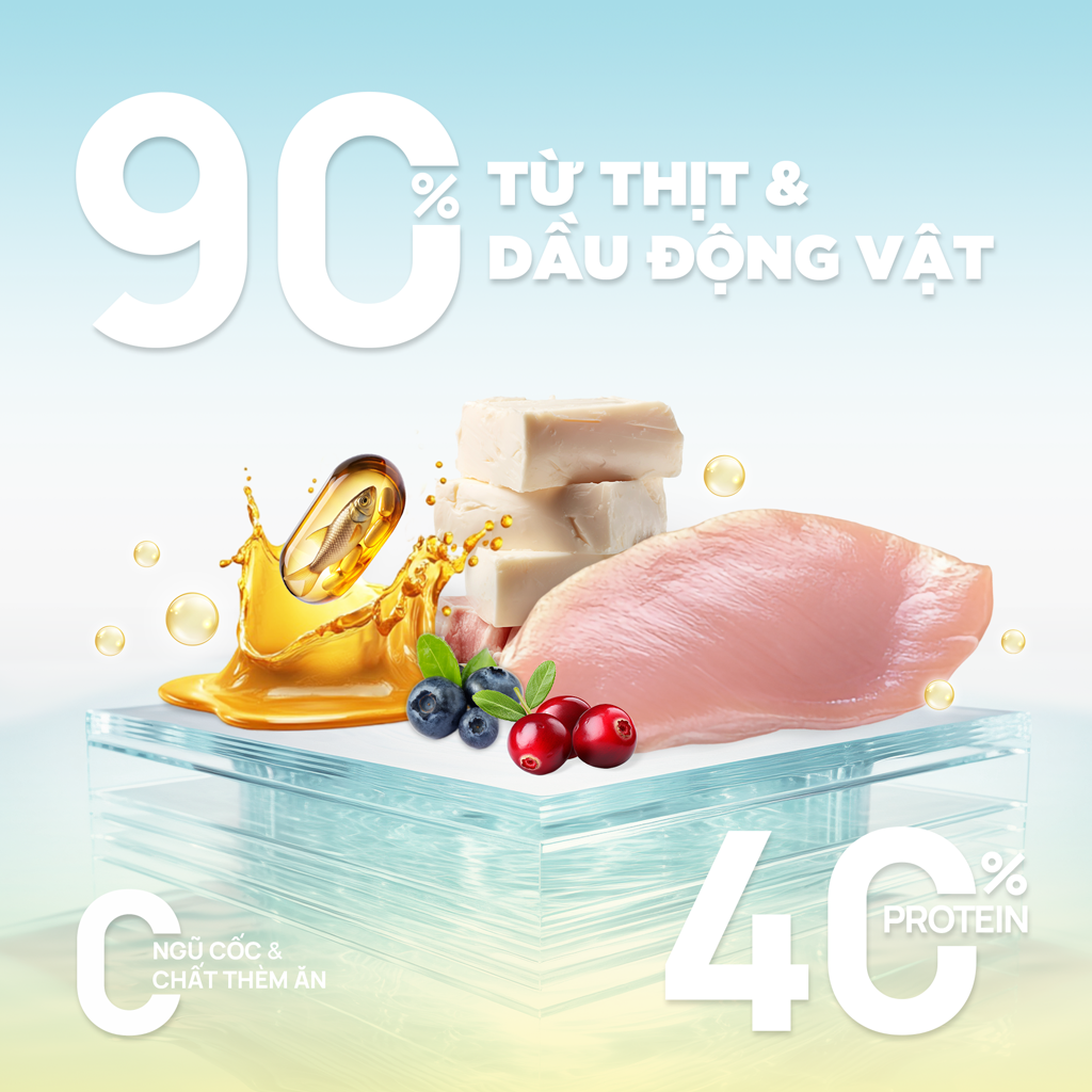 SKU 2 : HẠT PETQ C90U  ( HỖ TRỢ TIẾT NIỆU) -duoc-ban-tai-CLOUDY PET SHOP