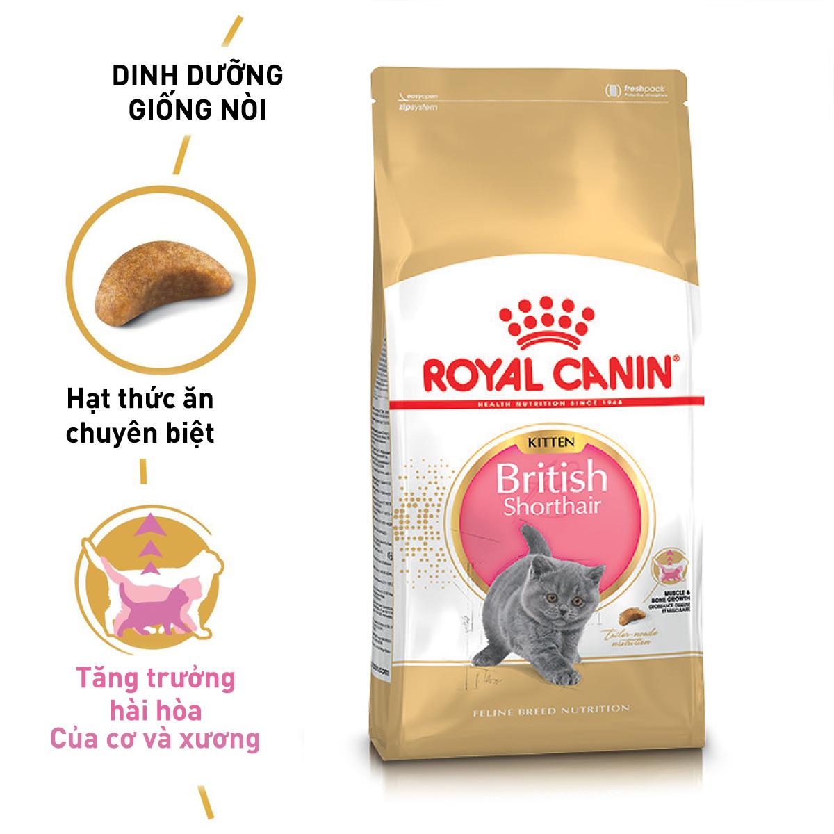 SKU 3 : HẠT ROYAL CANIN BRITISH SHORTHAIR KITTEN/ADULT-duoc-ban-tai-CLOUDY PET SHOP