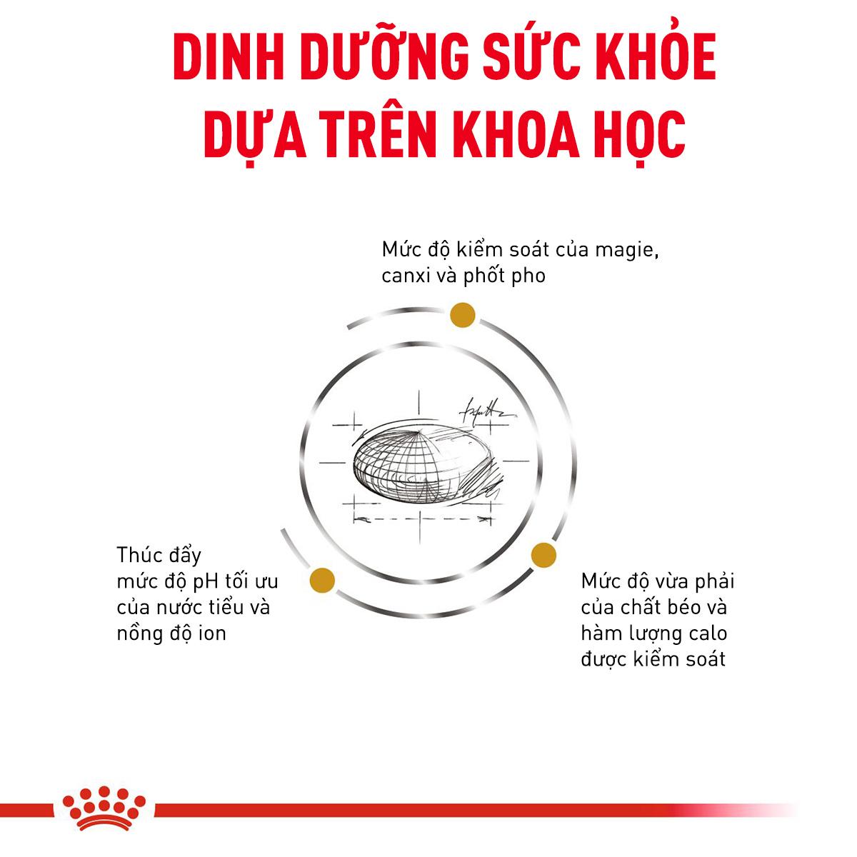 SKU 3 :HẠT ROYAL CANIN URINARY S/O - THỨC ĂN CHO MÈO BỊ SỎI THẬN-duoc-ban-tai-CLOUDY PET SHOP