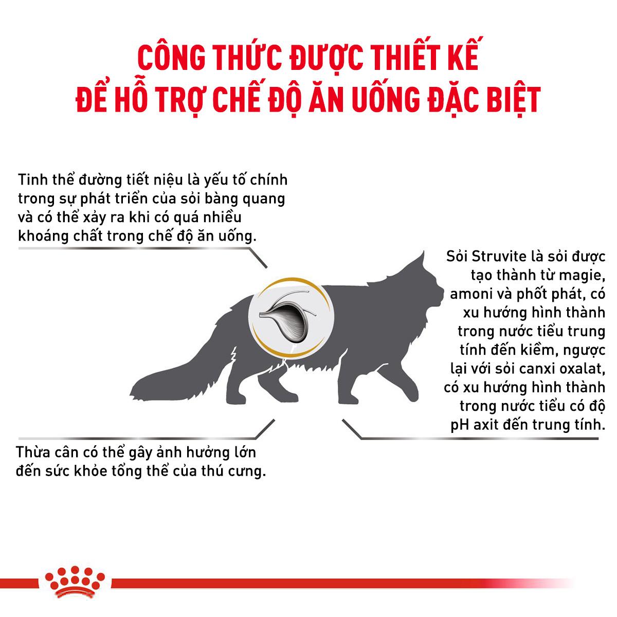 SKU 3 :HẠT ROYAL CANIN URINARY S/O - THỨC ĂN CHO MÈO BỊ SỎI THẬN-duoc-ban-tai-CLOUDY PET SHOP