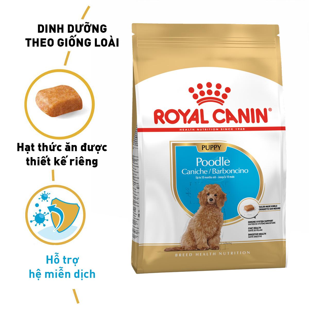 SKU 3Y : ROYAL CANIN POODLE PUPPY JUNIOR/ADULT-duoc-ban-tai-CLOUDY PET SHOP