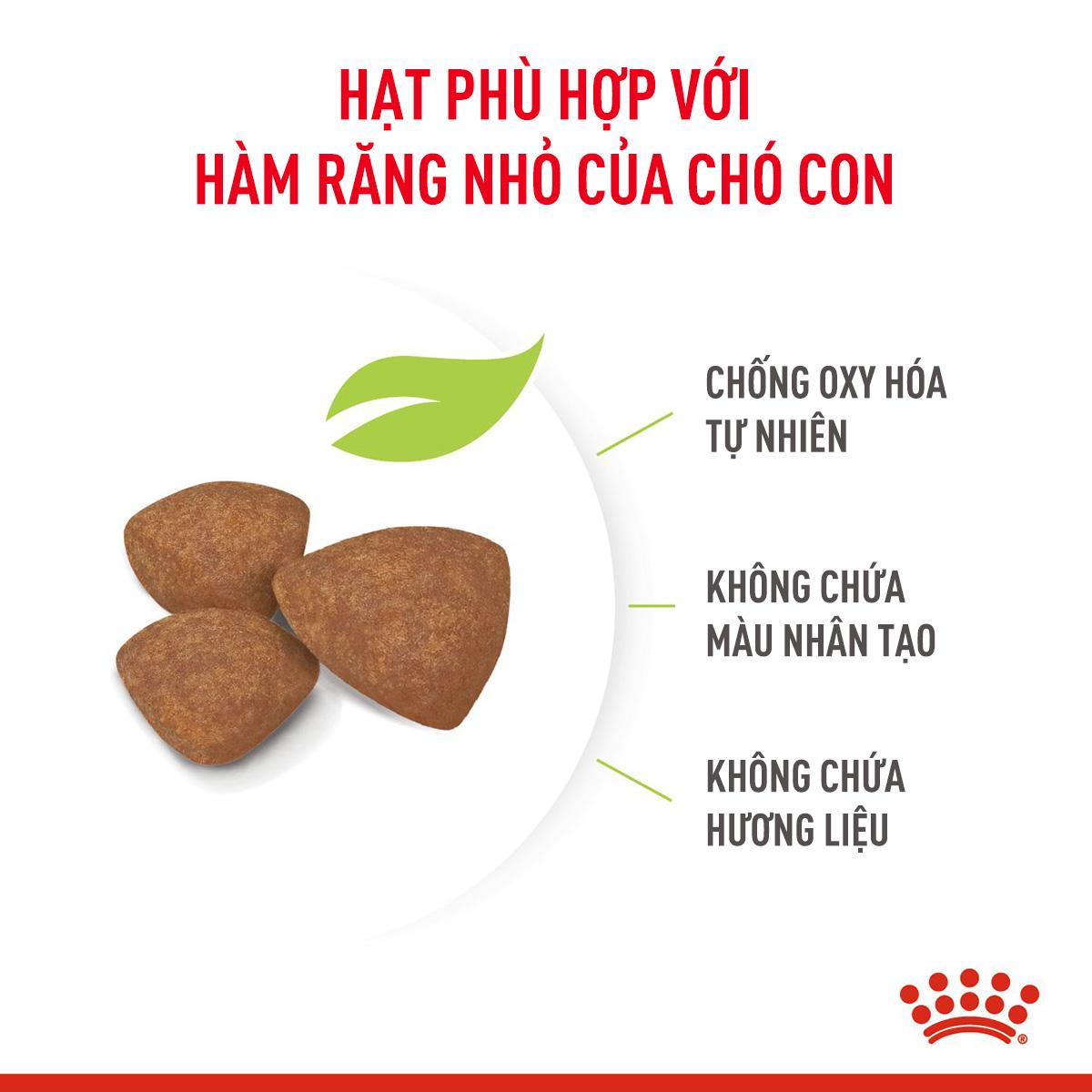 SKU 3Y : ROYAL CANIN MINI PUPPY-duoc-ban-tai-CLOUDY PET SHOP