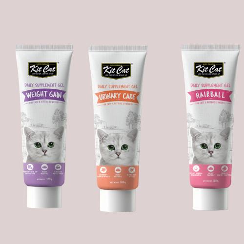 KITCAT GEL DINH DƯỠNG + HỖ TRỢ TIÊU BÚI LÔNG -duoc-ban-tai-CLOUDY PET SHOP