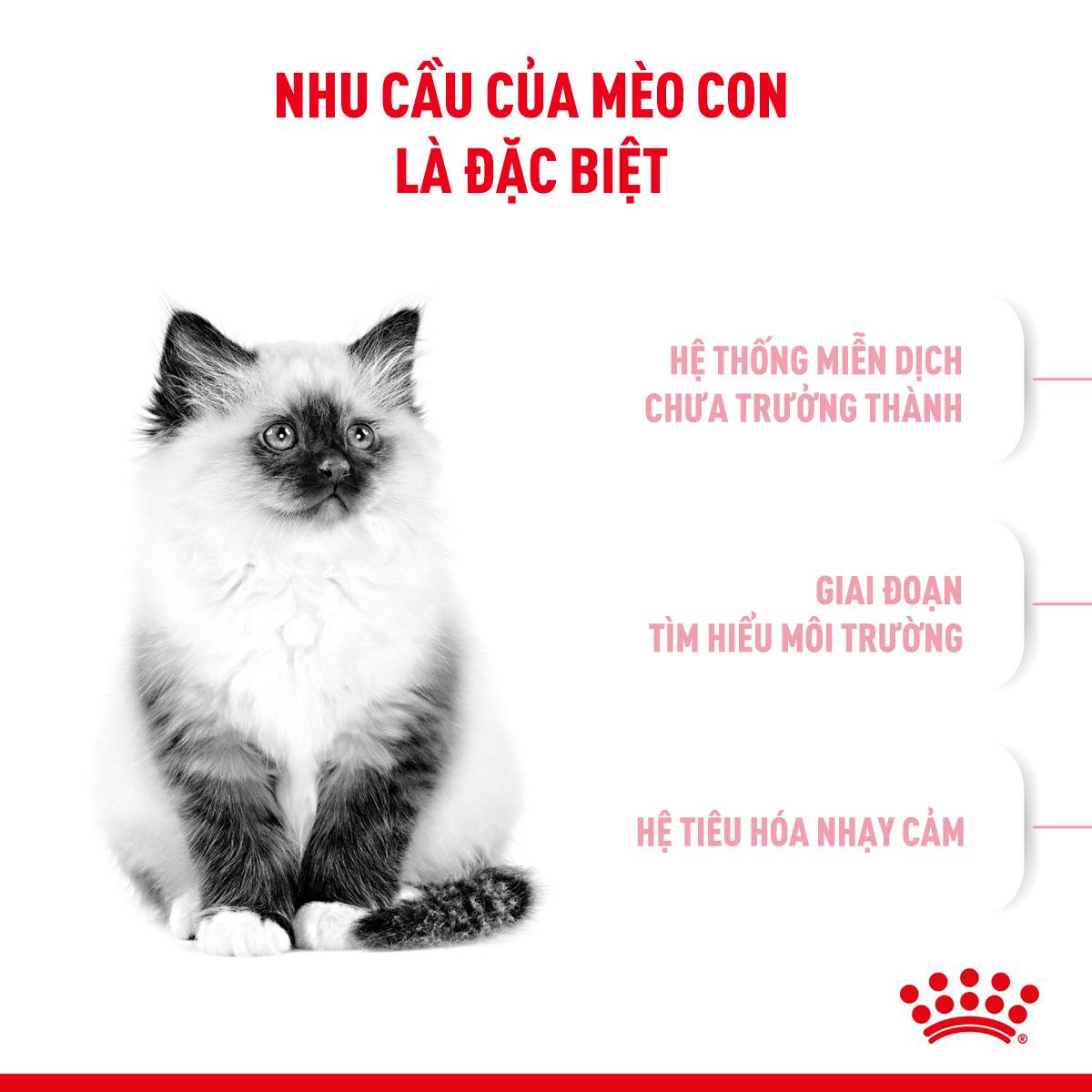 SKU 3 : HẠT ROYAL CANIN KITTEN-duoc-ban-tai-CLOUDY PET SHOP
