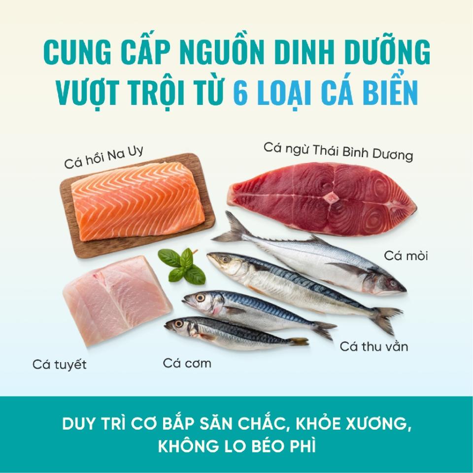 SKU 2 : HẠT Bite Of Wild F42 - 6 loại cá dinh dưỡng-duoc-ban-tai-CLOUDY PET SHOP