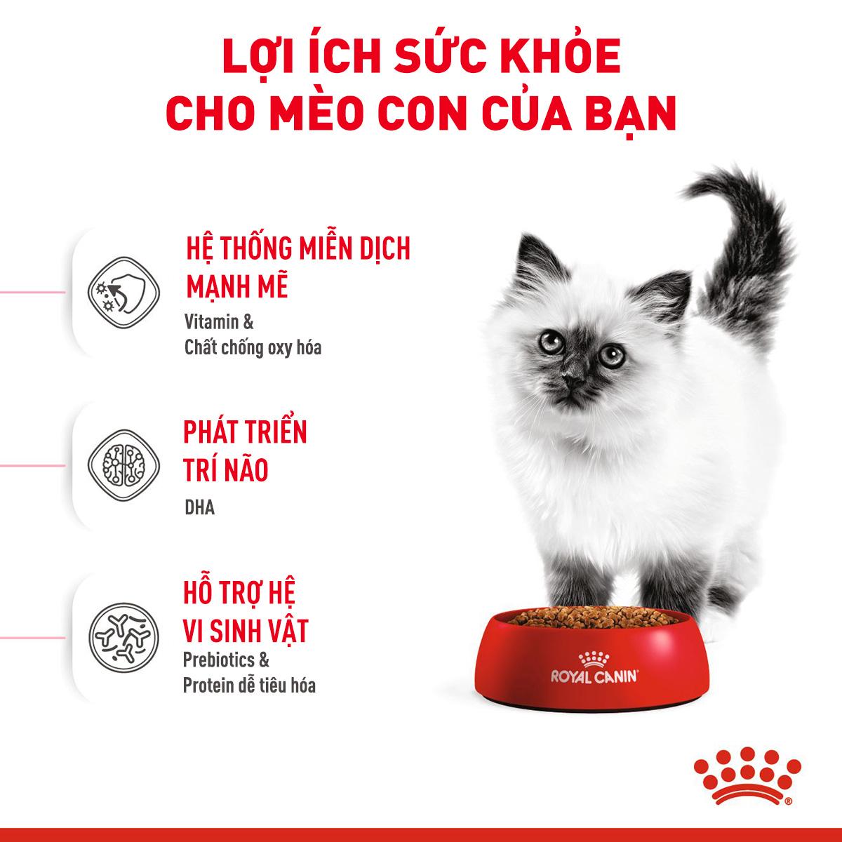 SKU 3 : HẠT ROYAL CANIN KITTEN-duoc-ban-tai-CLOUDY PET SHOP