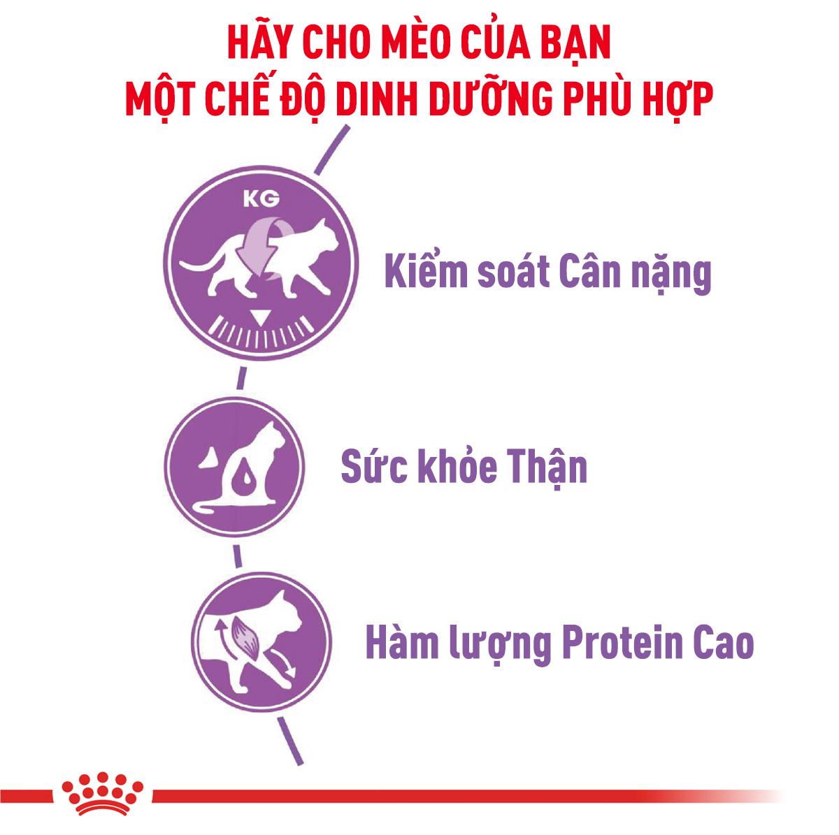 SKU 3 : HẠT ROYAL CANIN STERILISED ( TRIỆT SẢN )-duoc-ban-tai-CLOUDY PET SHOP