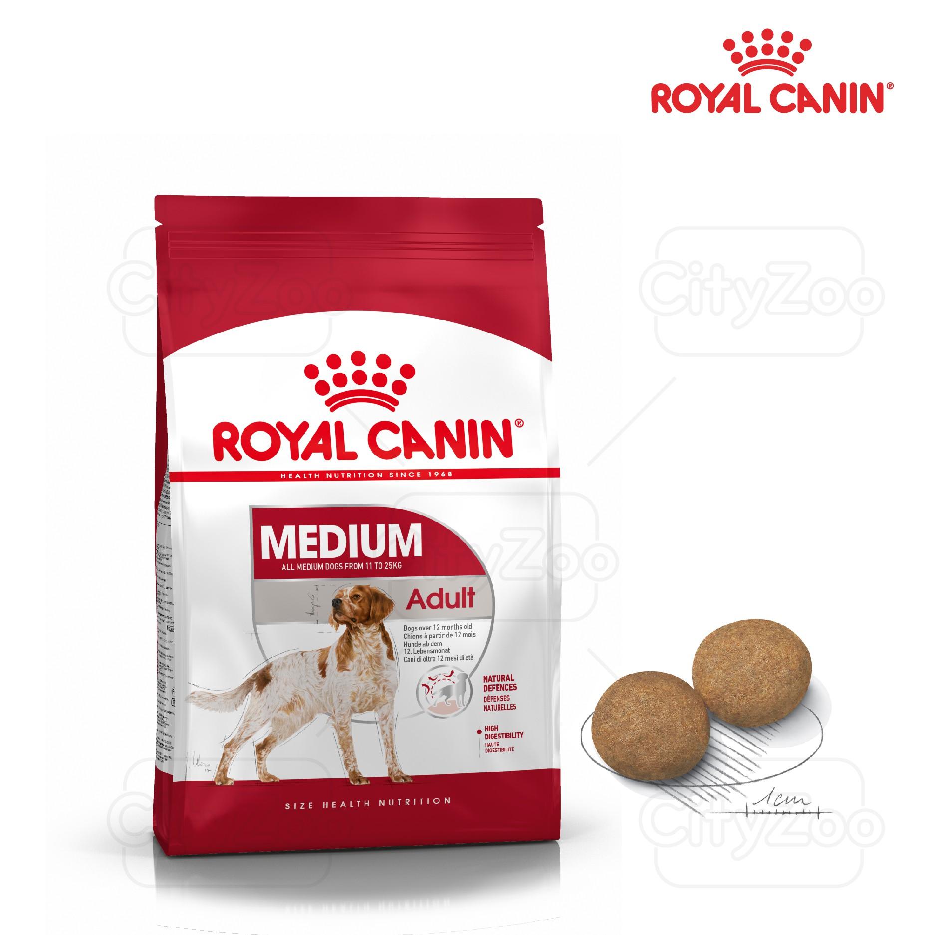 SKU 3Y : ROYAL CANIN MEDIUM KITTEN/ADULT-duoc-ban-tai-CLOUDY PET SHOP