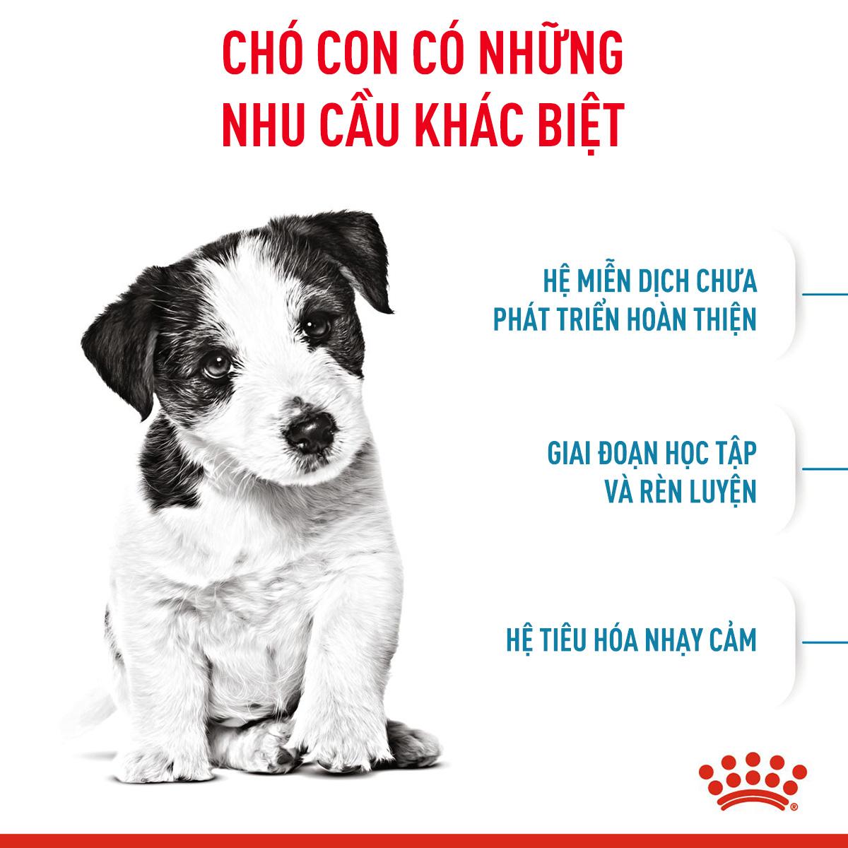 SKU 3Y : ROYAL CANIN MINI PUPPY-duoc-ban-tai-CLOUDY PET SHOP
