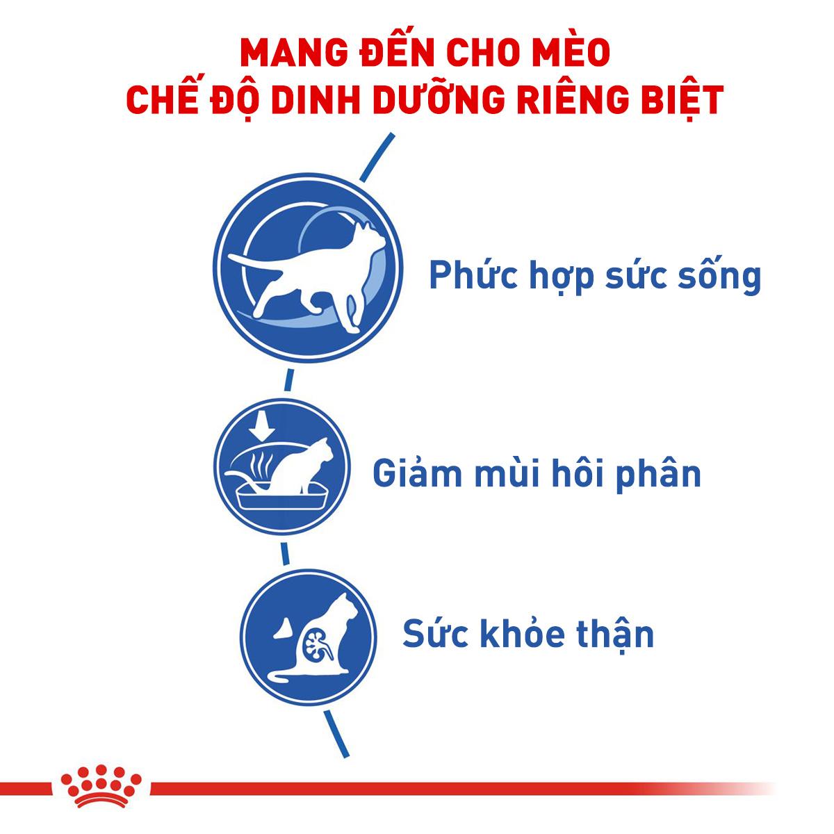 SKU 3 : HẠT ROYAL CANIN INDOOR-duoc-ban-tai-CLOUDY PET SHOP