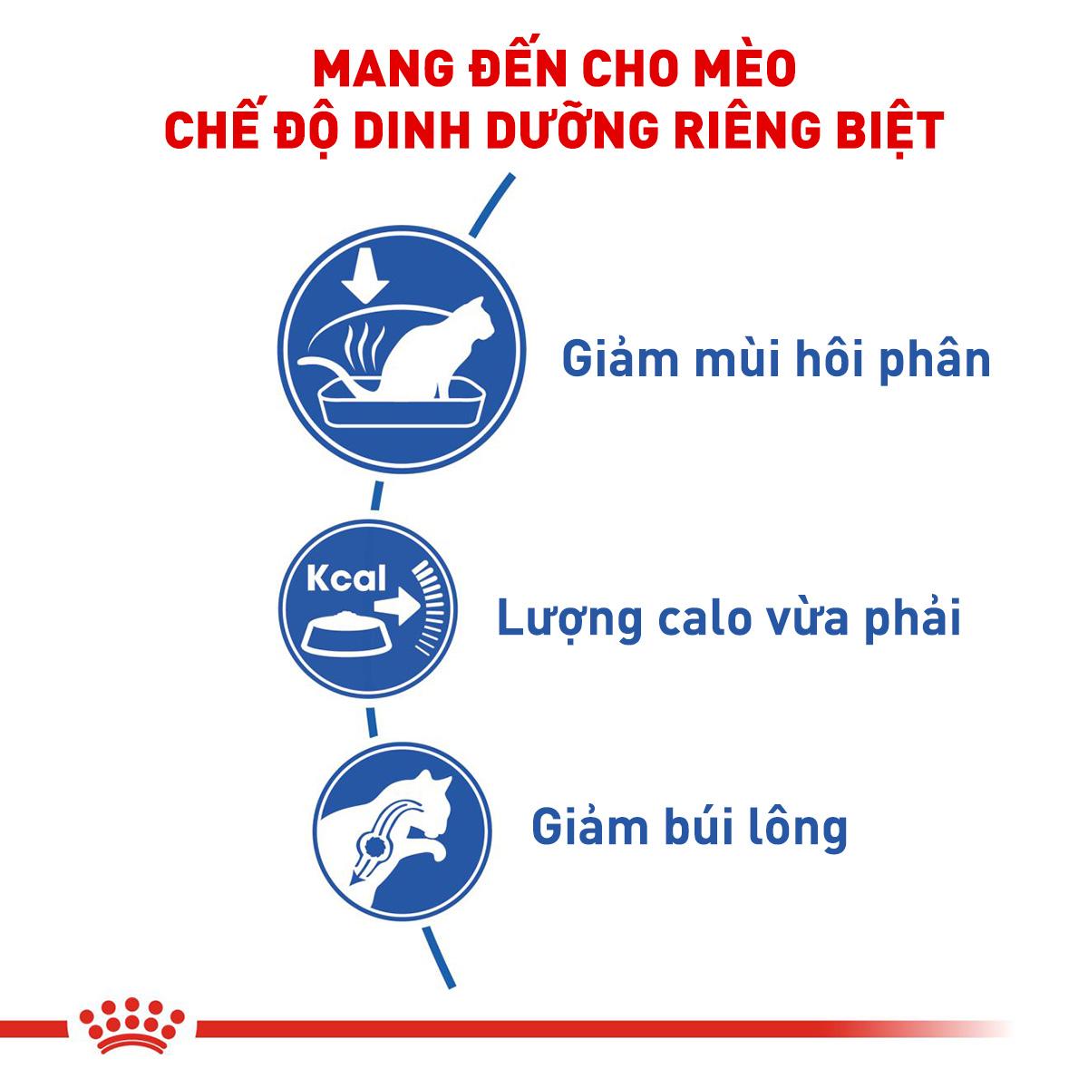 SKU 3 : HẠT ROYAL CANIN INDOOR-duoc-ban-tai-CLOUDY PET SHOP