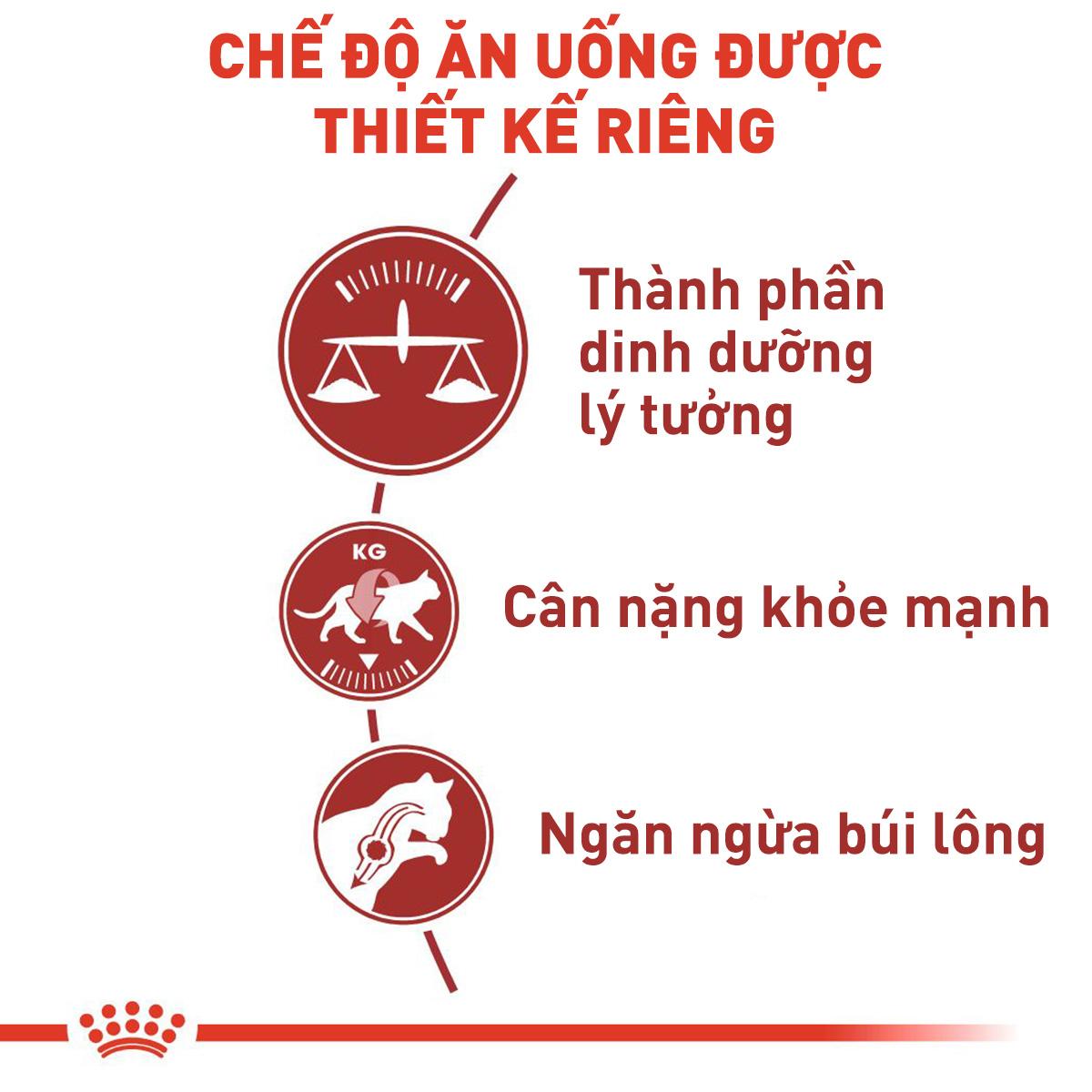 SKU 3 : ROYAL CANIN FIT32 - MÈO VẬN ĐỘNG -duoc-ban-tai-CLOUDY PET SHOP