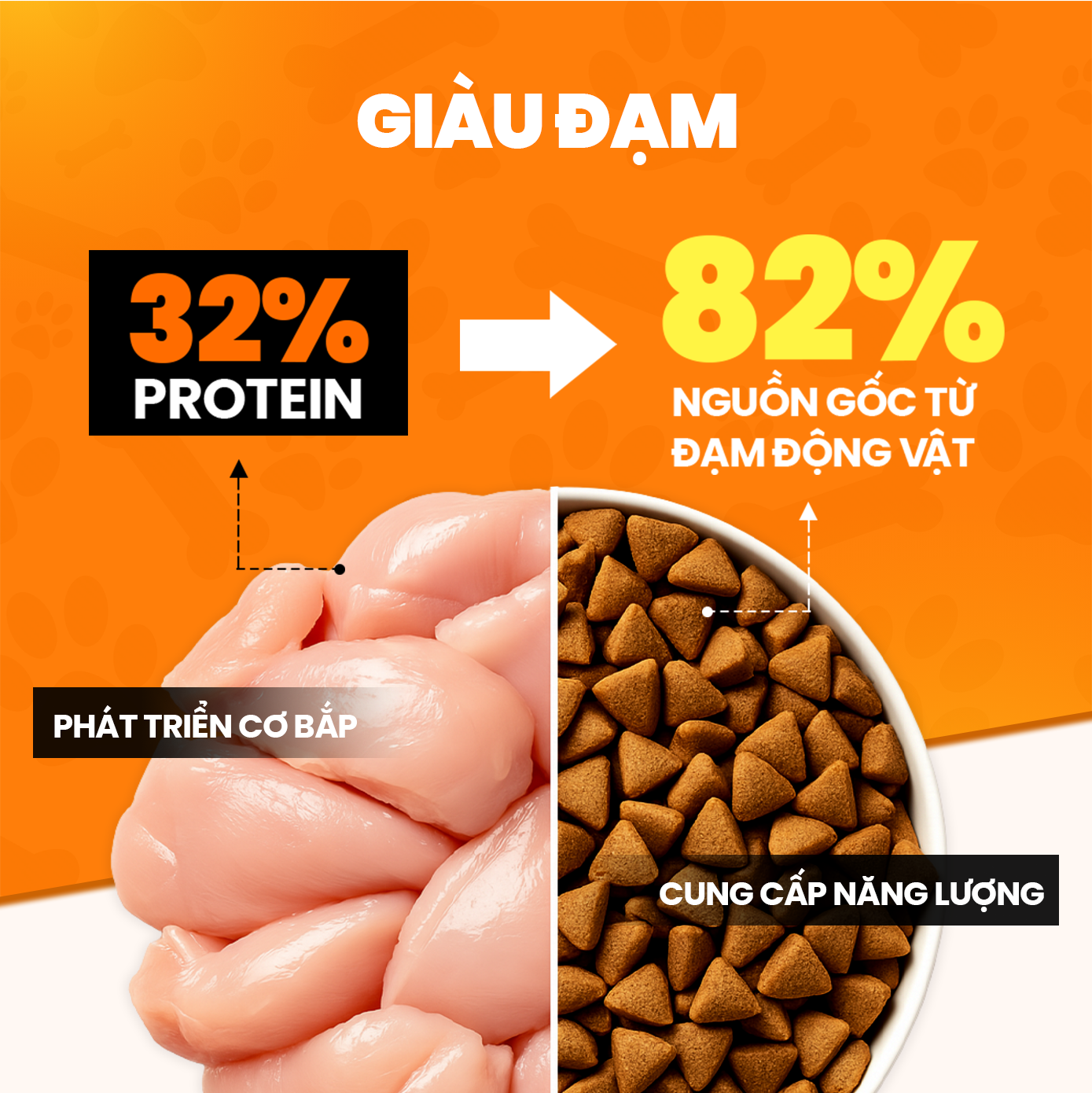 SKU 1 : HẠT ON25 3KG Cat – Hạt khô dinh dưỡng toàn diện cho mèo-duoc-ban-tai-CLOUDY PET SHOP