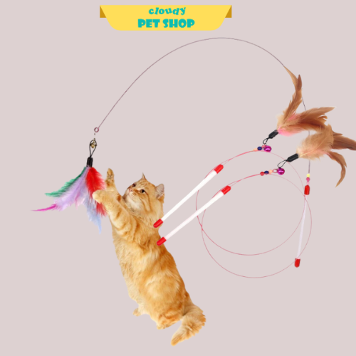 Cần câu mèo-duoc-ban-tai-CLOUDY PET SHOP
