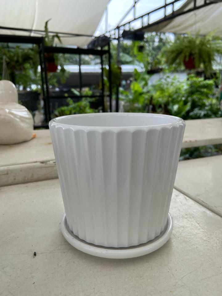 Chậu sứ kèm dĩa 14x13cm-duoc-ban-tai-Nam Kim Garden