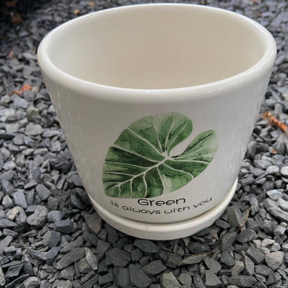 Chậu sứ kèm dĩa 14x13cm-duoc-ban-tai-Nam Kim Garden