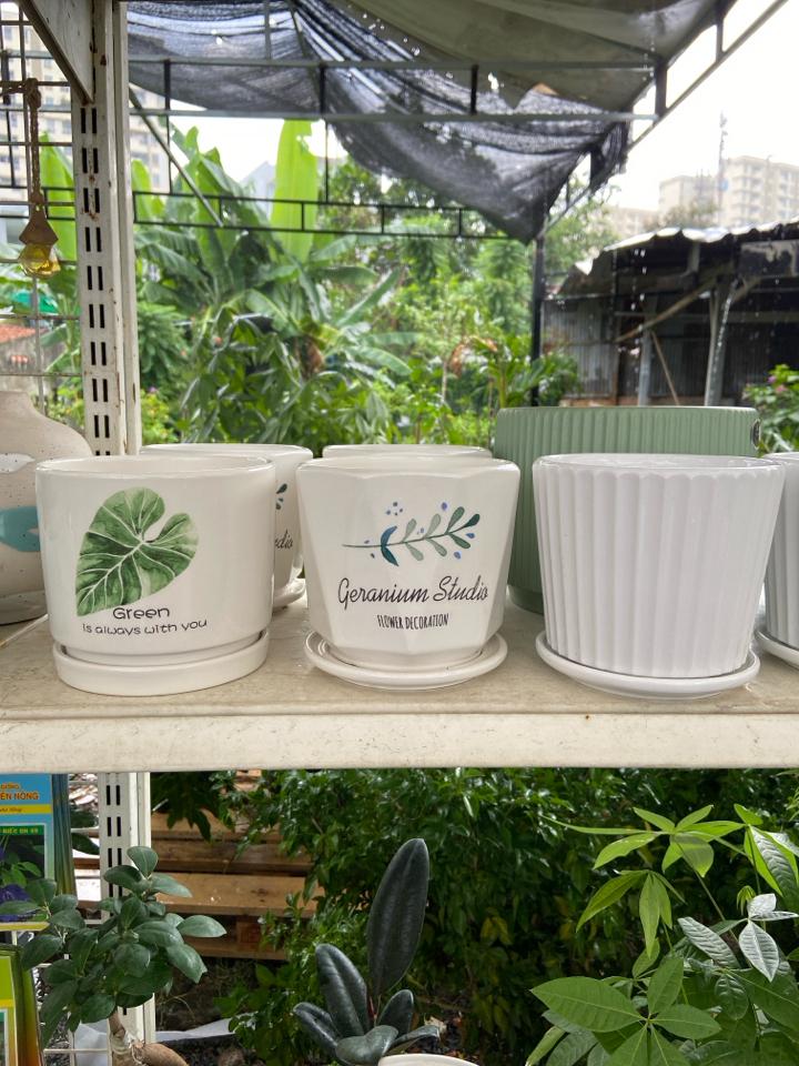 Chậu sứ kèm dĩa 14x13cm-duoc-ban-tai-Nam Kim Garden